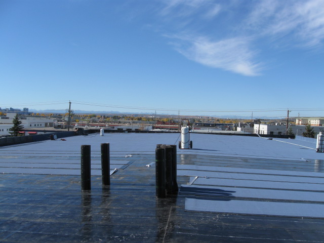 SBS Roof Membrane